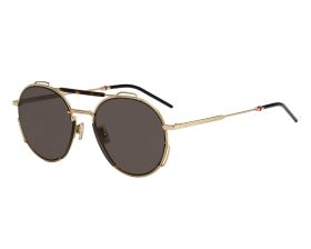 C.Dior Sunglass DIOR0234S 06J2K,84J2K