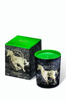 DIPTIQUE FROSTED FOREST 70G CANDLE GREEN