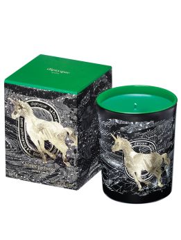 DIPTIQUE FROSTED FOREST 190G CANDLE GREEN