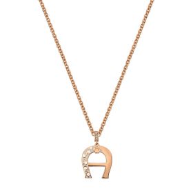 AIGNER ACCESSORIES M AJ6402214