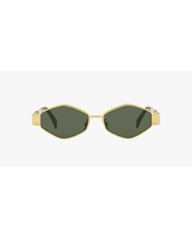 Celine Women's Sunglasses Cl40254u 30n 54