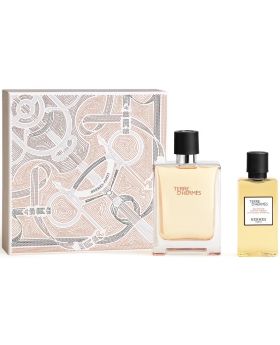 Hermes Terre D'hermes Set Edt 100ml + S/g 80ml